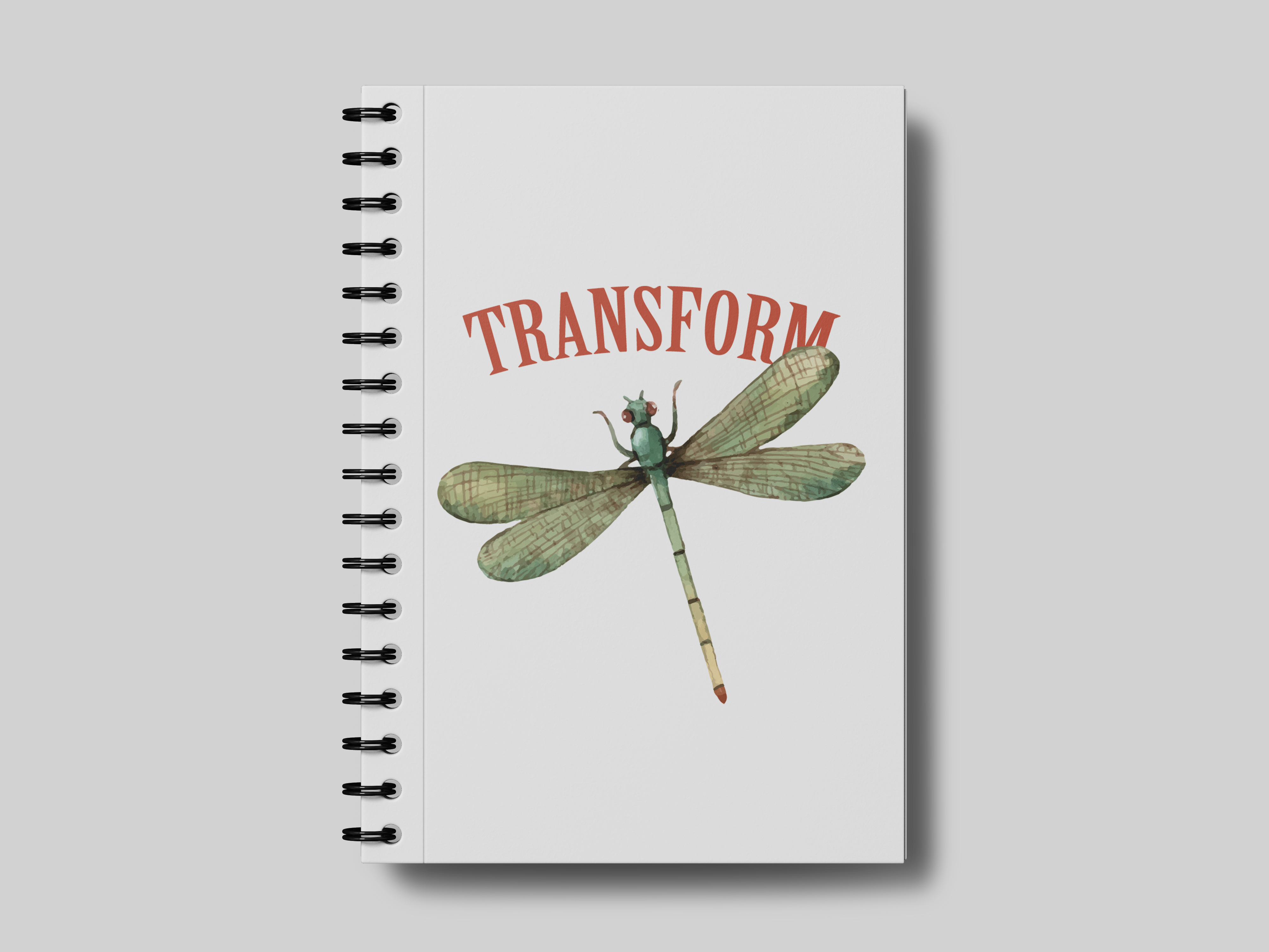 Transform - Notebook